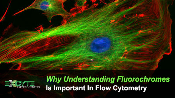 Flow Fluorochrome Chart
